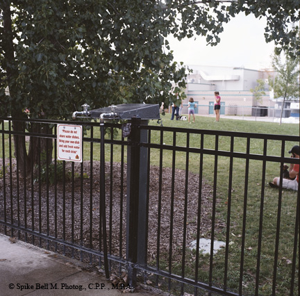 dog park gate